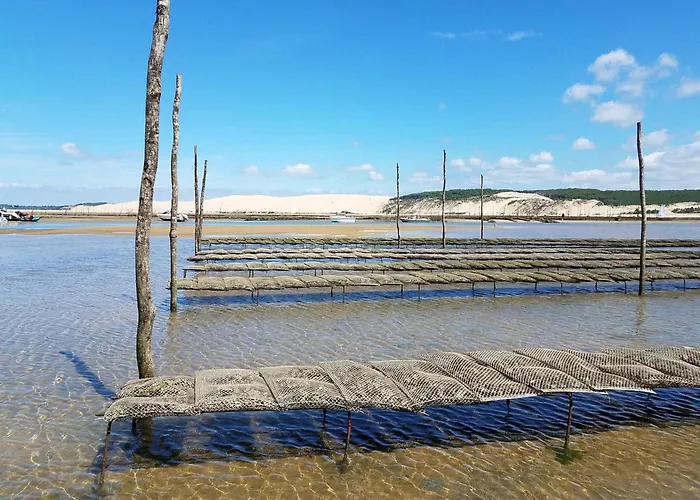 Cosy Pour 5 Pers. A Avec Balcon Et Equipements Complets - Fr-1-474-213 *